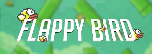 Such flap much bird